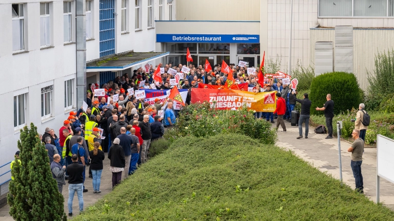 Zukunft statt Kahlschlag